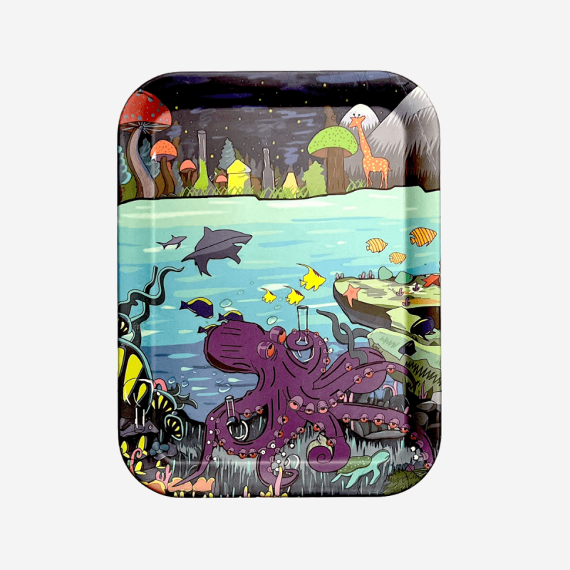 Small glass smoking accessory product photo – Pipe420